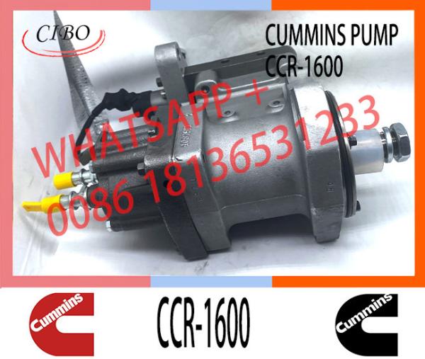 Conjunto original 3973228 CCR1600 da bomba do motor do combustível para o ccr 1600 da bomba 3973228 da injeção do motor de QSL
