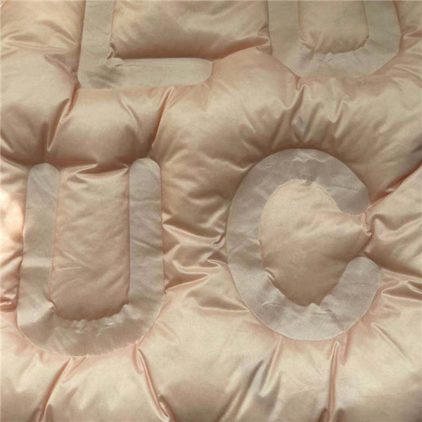 Woven 100% Nylon Winter Jacket Fabric In 2 Layers Bonding 40D*40D 140gsm 150cm Water Proof Down Proof