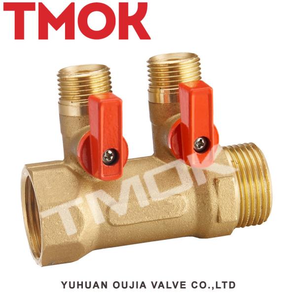 2 Port Pex Manifold