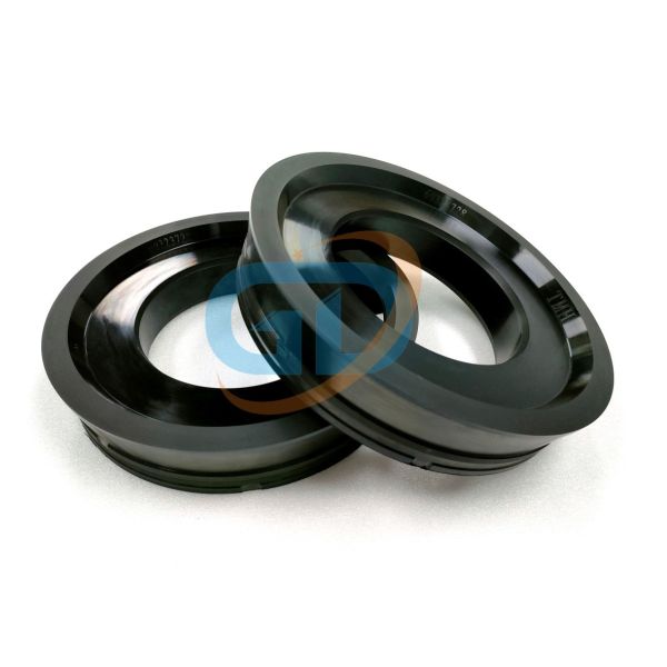 262893000 19003001 PUTZMEISTER ПИСТОН RAM DN230 БЕКОННЫЙ ПУМПА