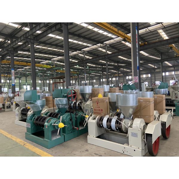 Cotton Seeds Sesame Seed Automatic Screw Oil Press Sunflower Seeds Oil Extractor